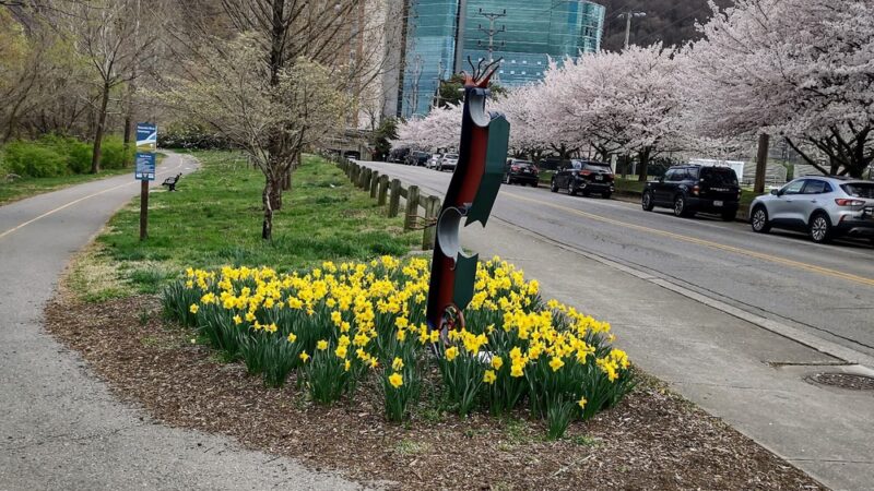Roanoke Greenway (Rivers Edge South) - Roanoke, VA