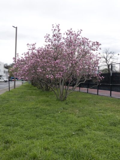 Roanoke Greenway (Rivers Edge South) - Roanoke, VA