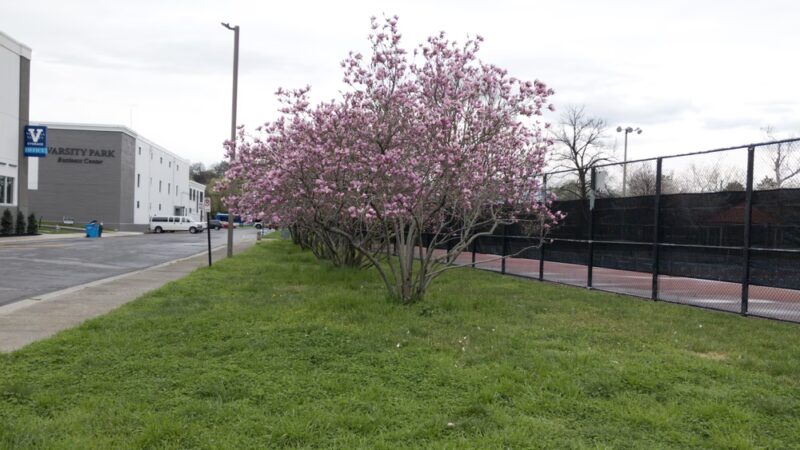 Roanoke Greenway (Rivers Edge South) - Roanoke, VA