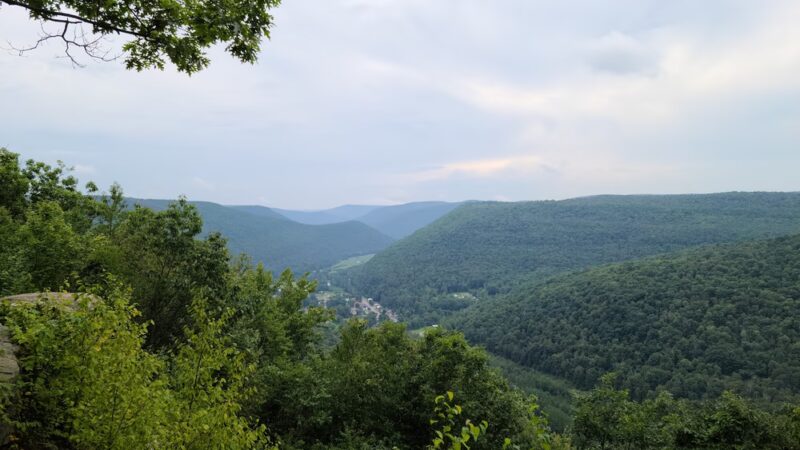 McIntyre Wild Area - Roaring Branch, PA