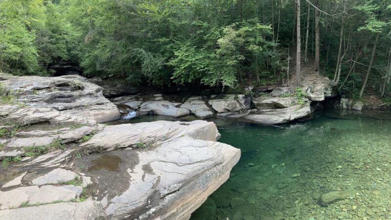 McIntyre Wild Area - Roaring Branch, PA
