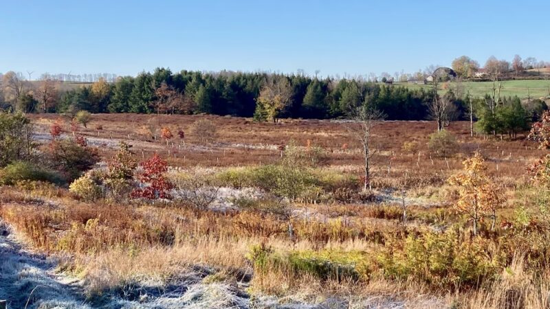 Windy Hill Fowl LLC - Roaring Branch, PA