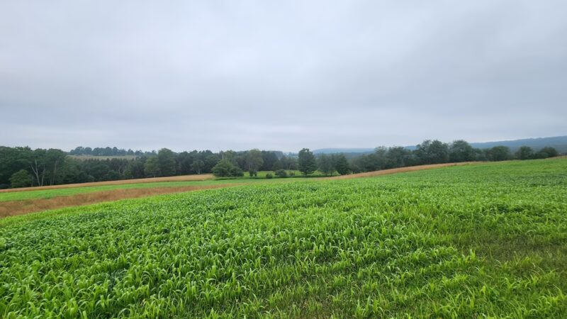 Windy Hill Fowl LLC - Roaring Branch, PA