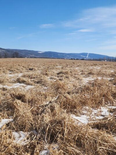 Windy Hill Fowl LLC - Roaring Branch, PA