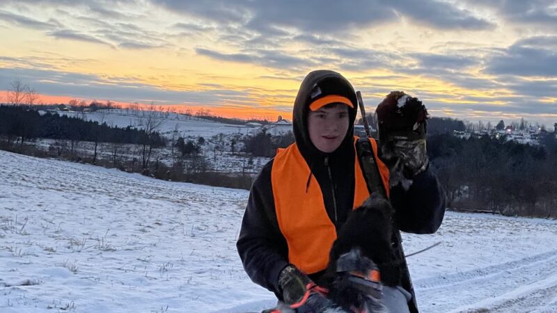 Windy Hill Fowl LLC - Roaring Branch, PA