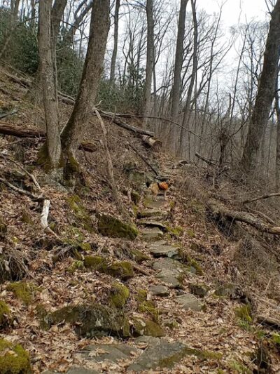 Hog Back Gap - Robbinsville, NC