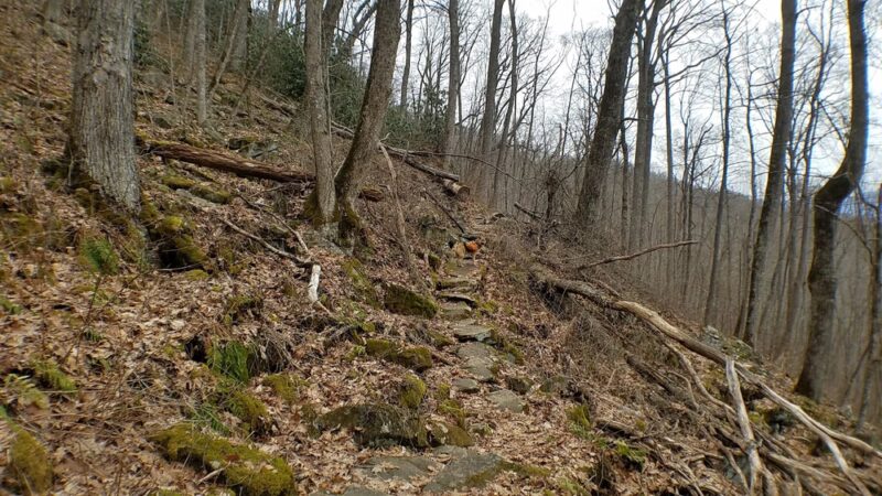 Hog Back Gap - Robbinsville, NC