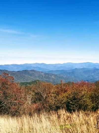Huckleberry Knob Trail - Robbinsville, NC