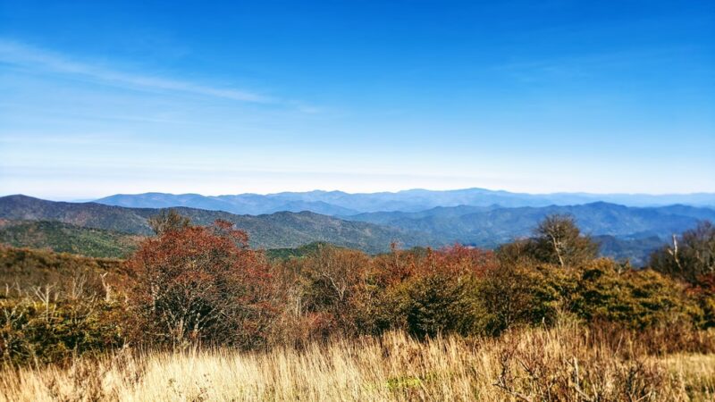 Huckleberry Knob Trail - Robbinsville, NC