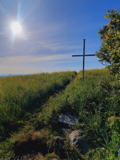 Huckleberry Knob Trail - Robbinsville, NC
