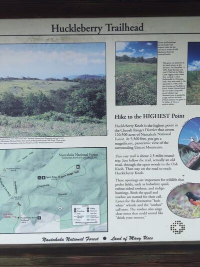 Huckleberry Knob Trail - Robbinsville, NC