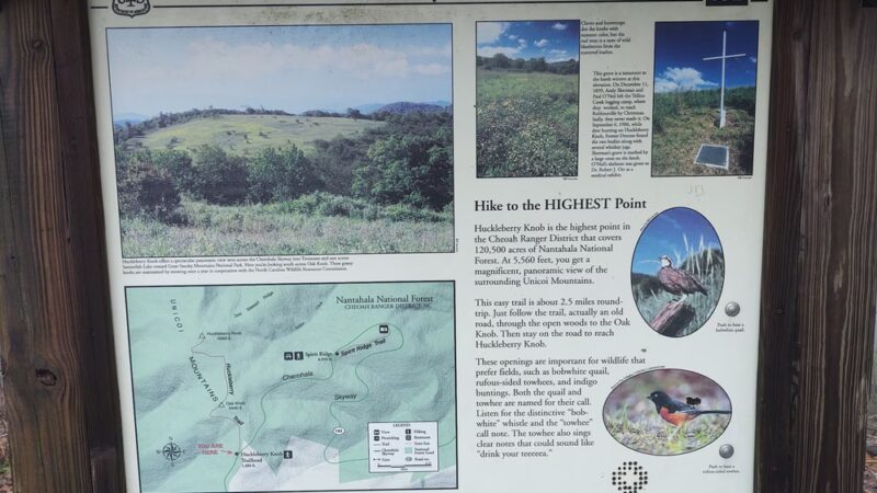 Huckleberry Knob Trail - Robbinsville, NC