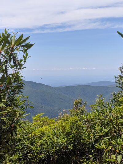 Joyce Kilmer-Slickrock Wilderness - Robbinsville, NC