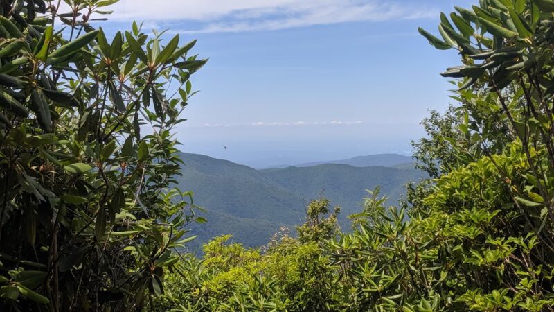 Joyce Kilmer-Slickrock Wilderness - Robbinsville, NC
