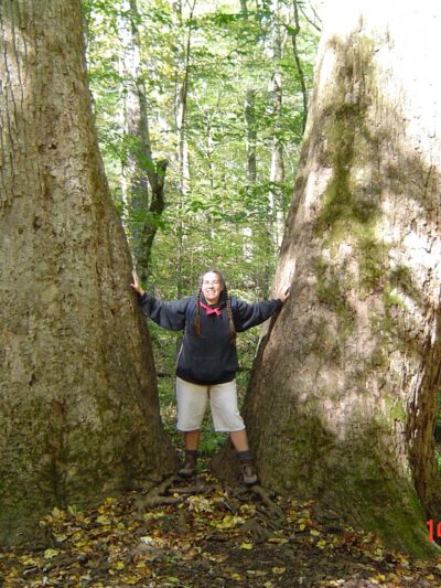 Joyce Kilmer-Slickrock Wilderness - Robbinsville, NC