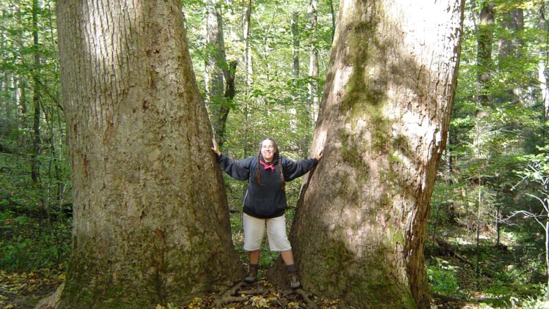 Joyce Kilmer-Slickrock Wilderness - Robbinsville, NC