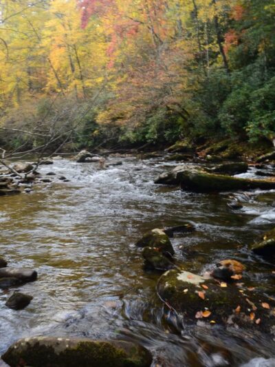 Rattler Ford Campground, Cheoah Ranger District, Nantahala National Forest - Robbinsville, NC