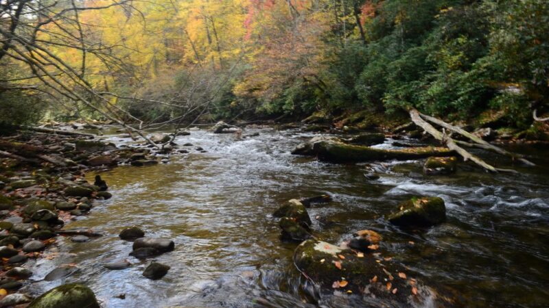 Rattler Ford Campground, Cheoah Ranger District, Nantahala National Forest - Robbinsville, NC