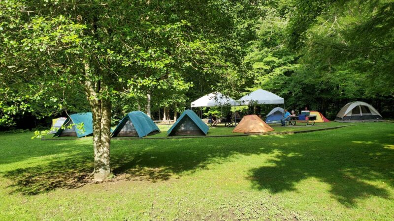 Rattler Ford Campground, Cheoah Ranger District, Nantahala National Forest - Robbinsville, NC