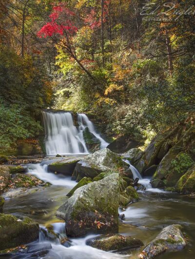 Yellow Creek Falls - Robbinsville, NC