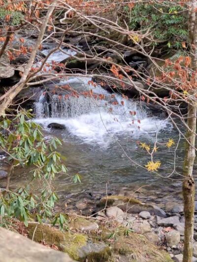 Yellow Creek Falls - Robbinsville, NC