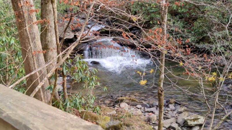 Yellow Creek Falls - Robbinsville, NC