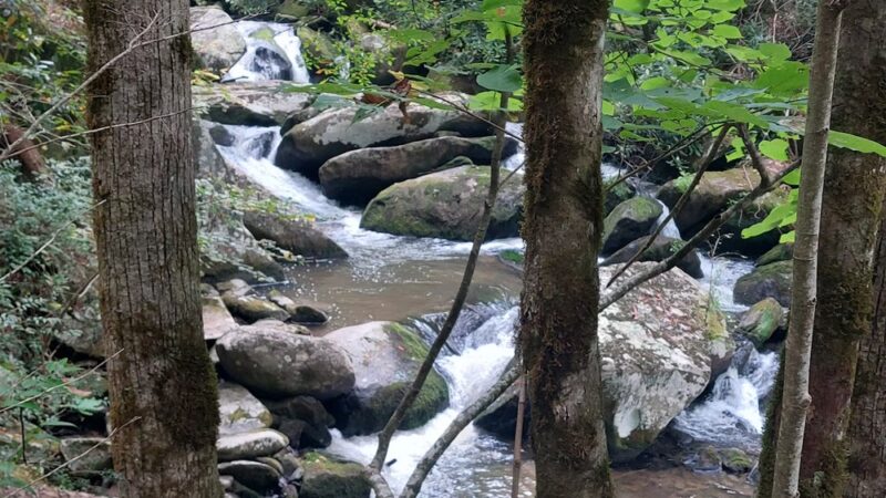 Yellow Creek Falls - Robbinsville, NC