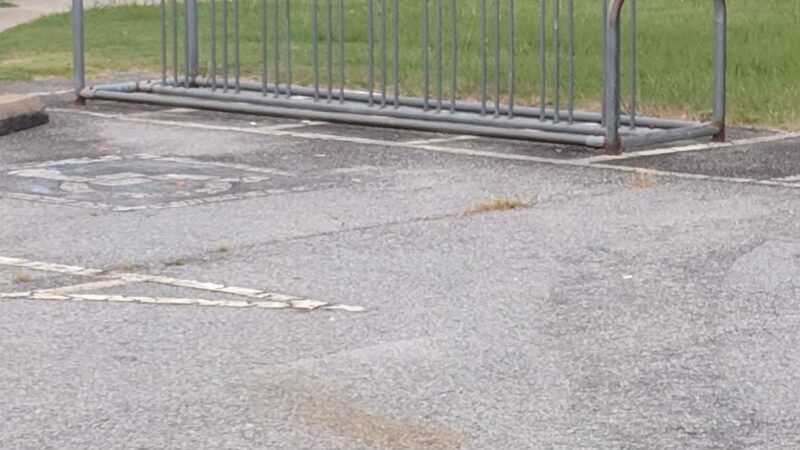 Robersonville Recreational Park - Robersonville, NC