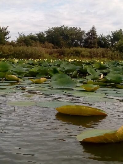 Brown State Fishing Lake and Wildlife Area - Robinson, KS