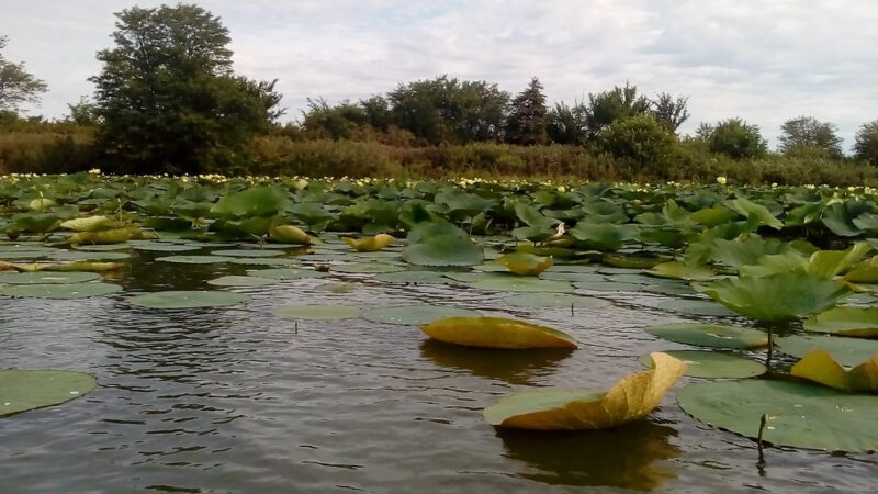 Brown State Fishing Lake and Wildlife Area - Robinson, KS