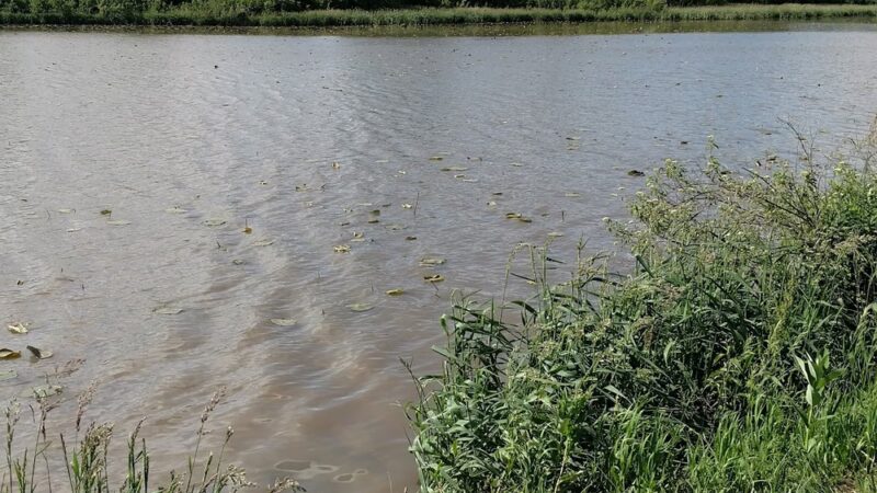 Brown State Fishing Lake and Wildlife Area - Robinson, KS