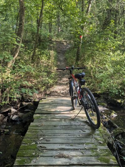 Stewart State Forest - Rock Tavern, NY