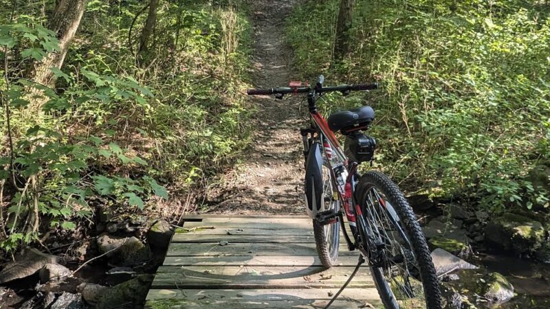 Stewart State Forest - Rock Tavern, NY