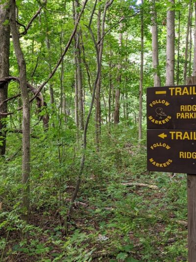 Stewart State Forest - Rock Tavern, NY