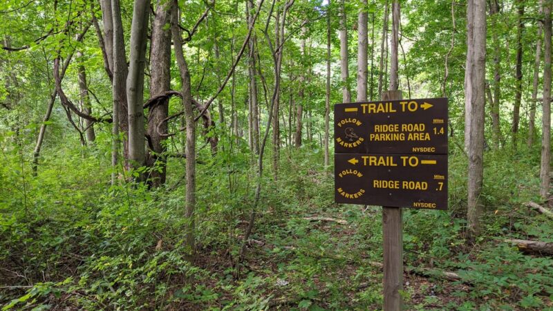 Stewart State Forest - Rock Tavern, NY
