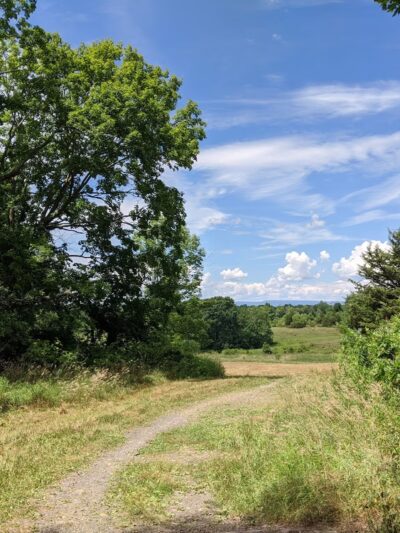 Stewart State Forest - Rock Tavern, NY