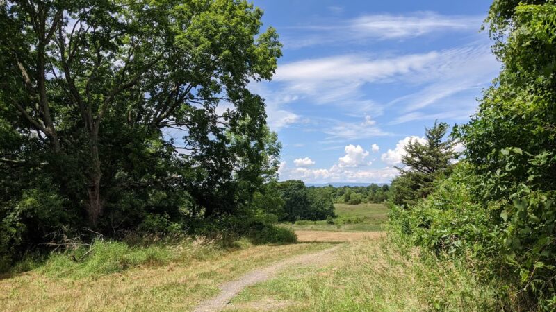 Stewart State Forest - Rock Tavern, NY