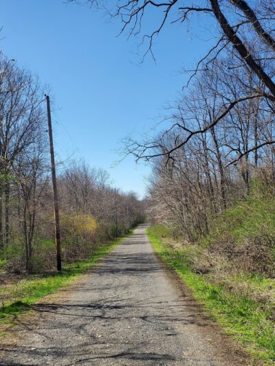 Stewart State Forest - Rock Tavern, NY