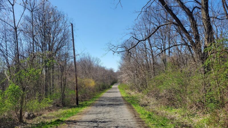 Stewart State Forest - Rock Tavern, NY