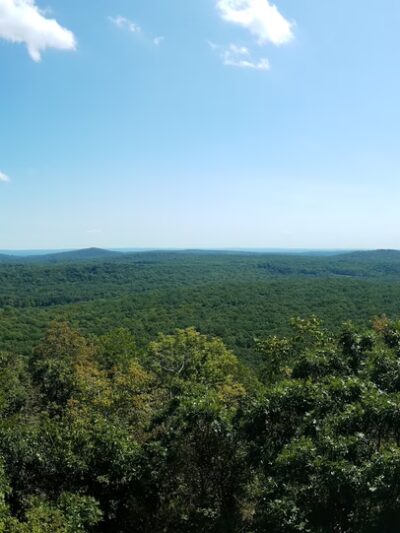 Wildcat Ridge Wildlife Management Area - Rockaway Township, NJ