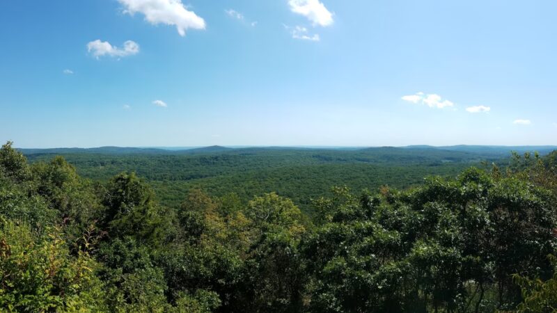 Wildcat Ridge Wildlife Management Area - Rockaway Township, NJ