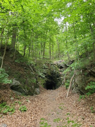 Wildcat Ridge Wildlife Management Area - Rockaway Township, NJ