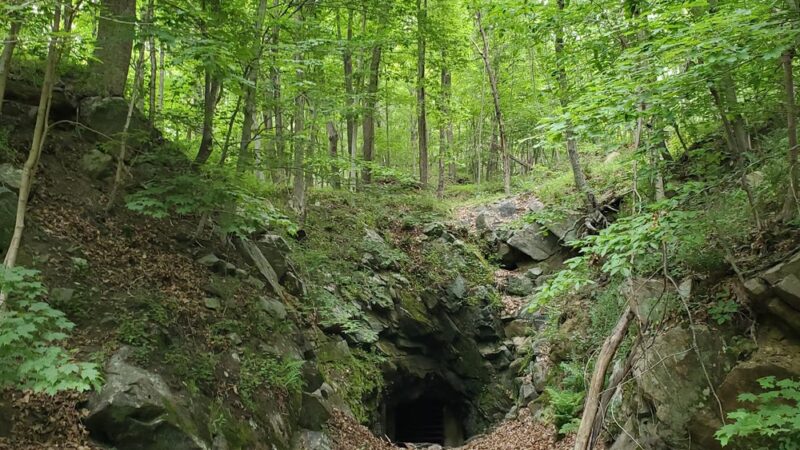 Wildcat Ridge Wildlife Management Area - Rockaway Township, NJ