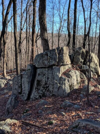 Wildcat Ridge Wildlife Management Area - Rockaway Township, NJ