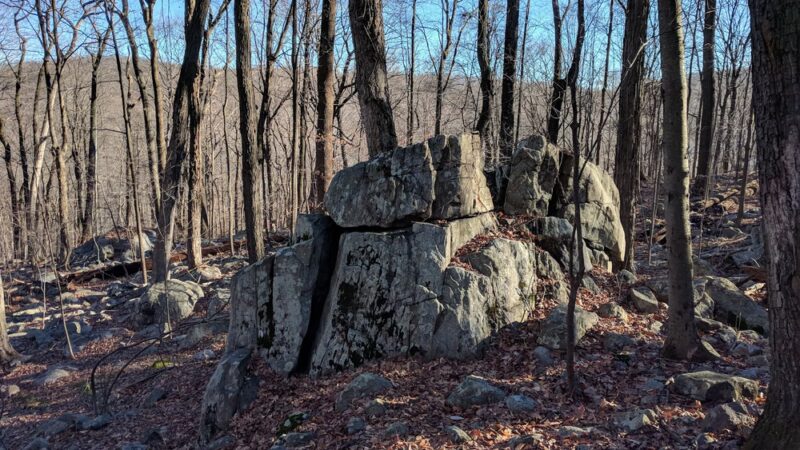 Wildcat Ridge Wildlife Management Area - Rockaway Township, NJ