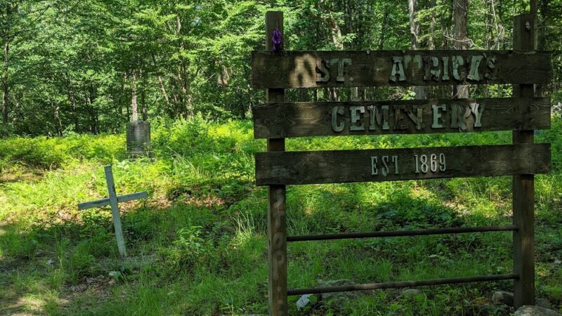 Wildcat Ridge Wildlife Management Area - Rockaway Township, NJ