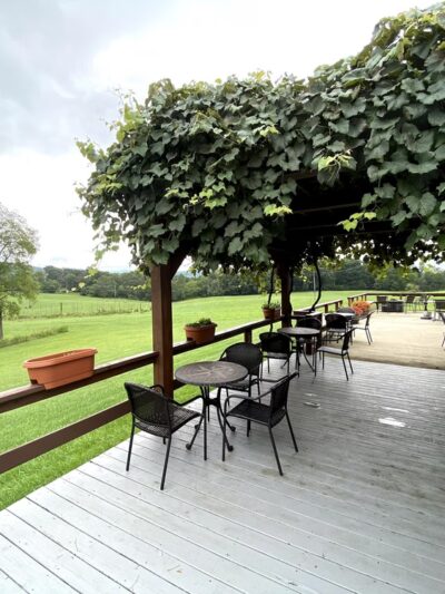 Lexington Valley Vineyard - Rockbridge Baths, VA