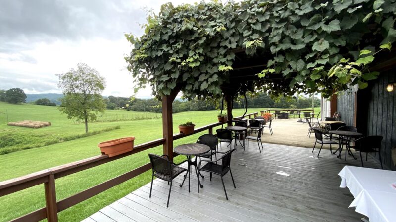 Lexington Valley Vineyard - Rockbridge Baths, VA