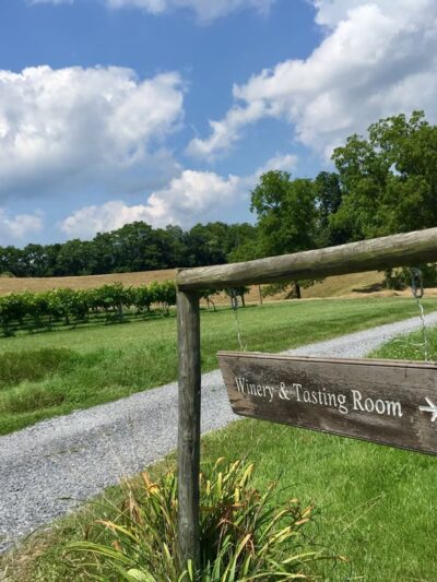 Lexington Valley Vineyard - Rockbridge Baths, VA