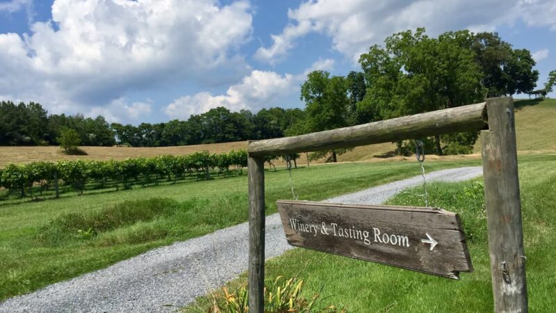 Lexington Valley Vineyard - Rockbridge Baths, VA